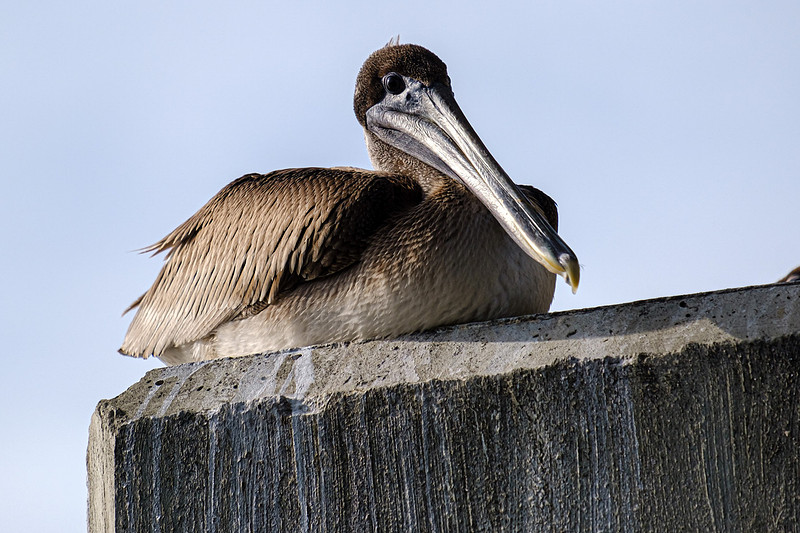 Baldwin County Stock Photography