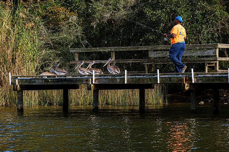 Baldwin County Stock Photography