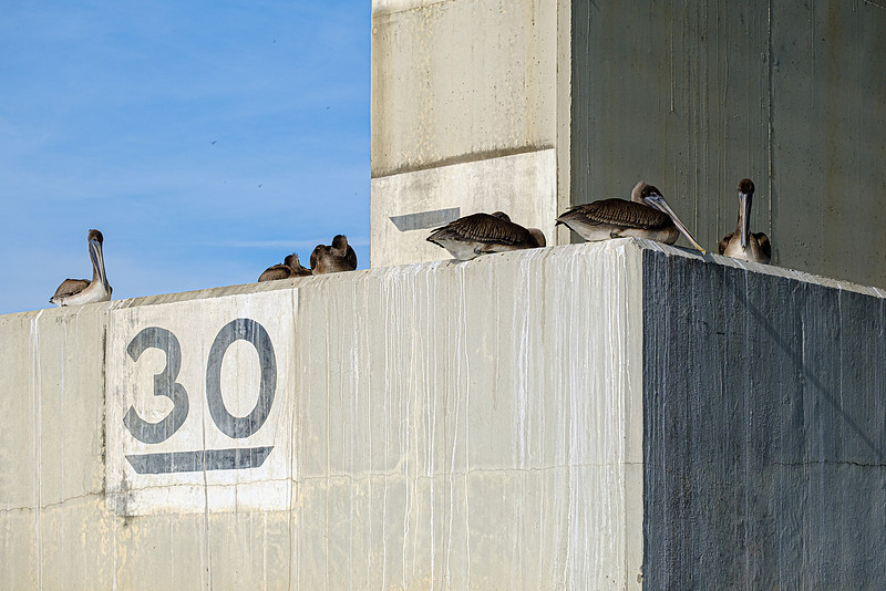 Baldwin County Stock Photography
