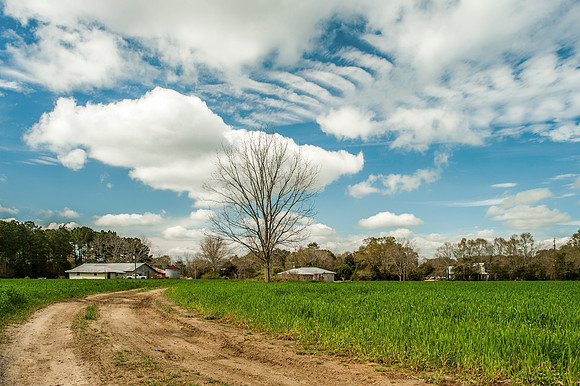 Robertsdale Photography|Baldwin County Photographer