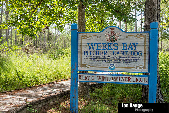 Baldwin County Photographer