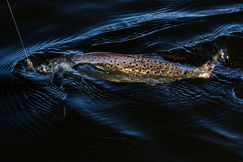 Pensacola Florida  Fishing Photography