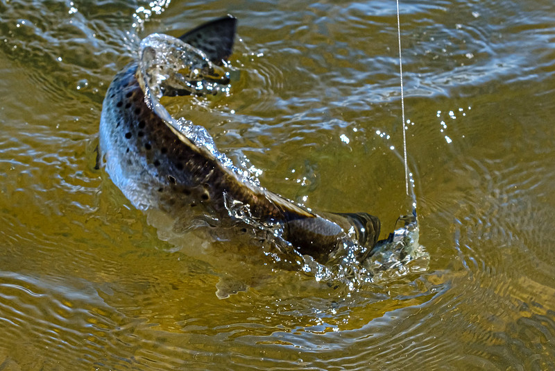 Pensacola Florida  Fishing Photography