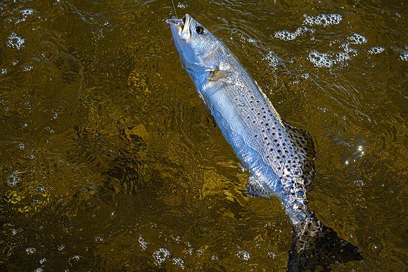 Pensacola Florida  Fishing Photography