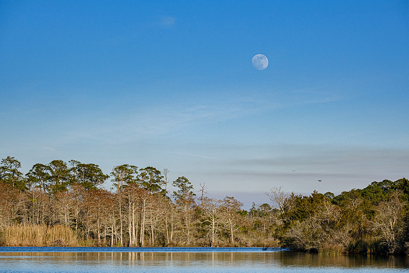 Magnolia River Baldwin County Photographer