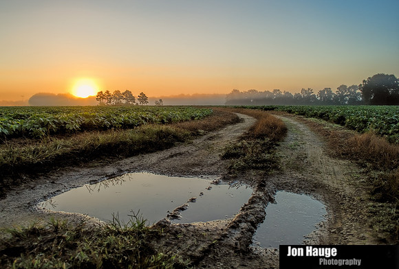 Baldwin County Photographer