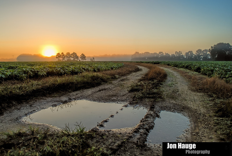 Baldwin County Photographer