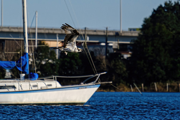 Pensacola Photographer
