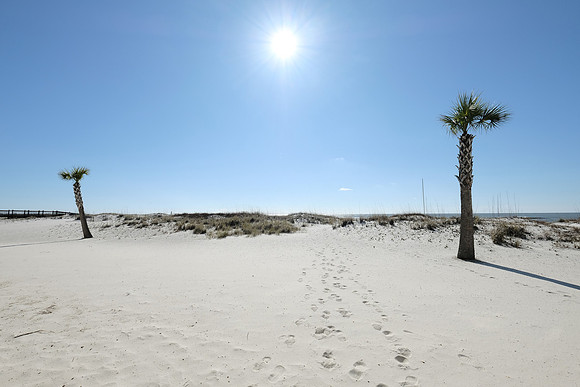 Gulf Shores Condo Photography Ocean Reef