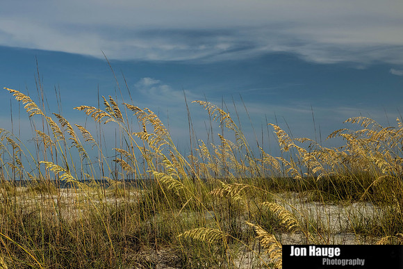 Orange Beach Photography