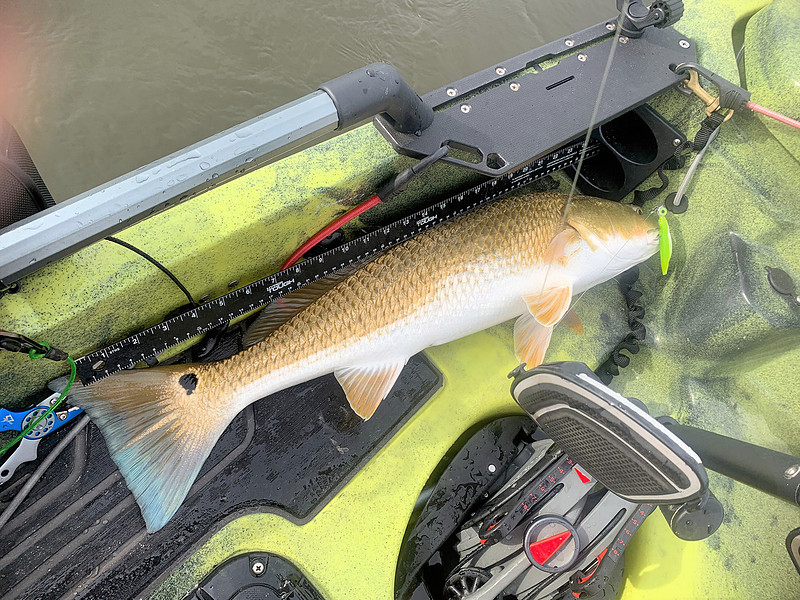 Inshore Fishing Fairhope Alabama