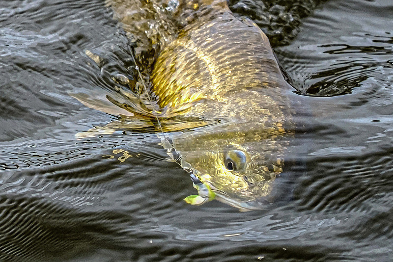 Inshore Fishing Fairhope Alabama