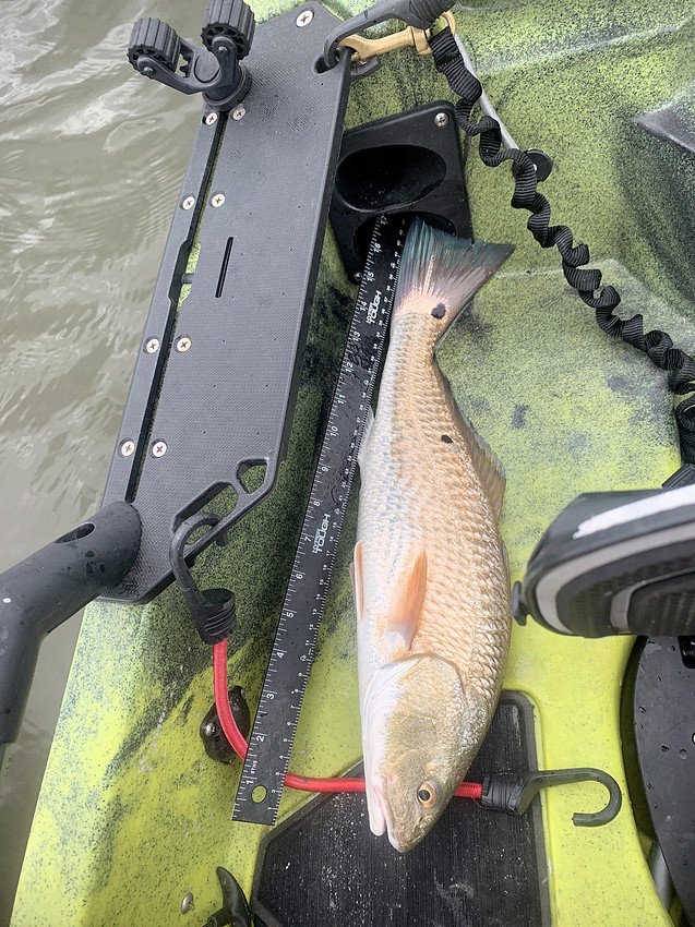 Inshore Fishing Fairhope Alabama