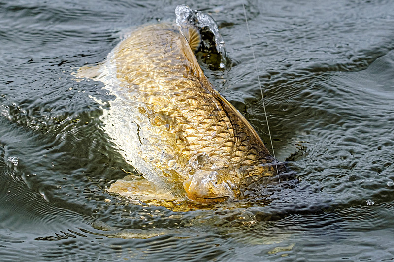 Inshore Fishing Fairhope Alabama