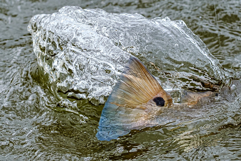 Inshore Fishing Fairhope Alabama