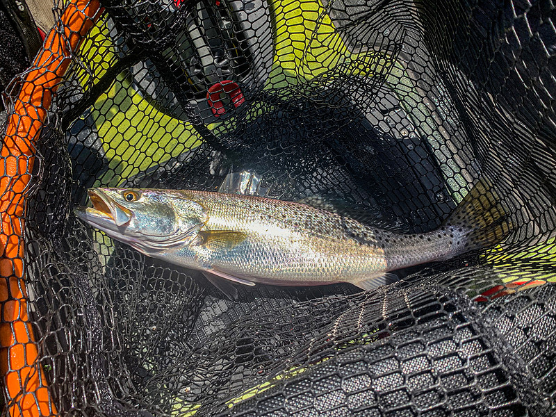 Inshore Fishing Fairhope Alabama