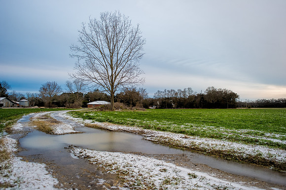 Snow in Baldwin County