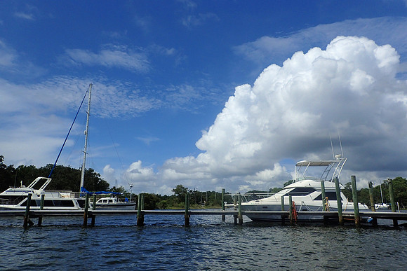 Pensacola Inshore Fishing Photography