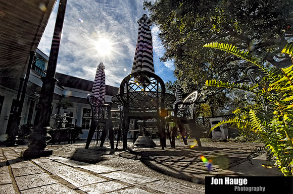 Fairhope Photography
