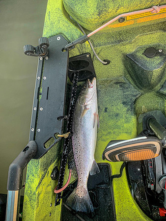 Mobile Bay Inshore Fishing