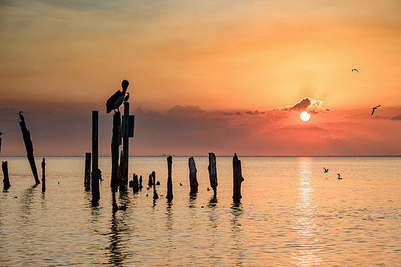 Mobile Bay Inshore Fishing