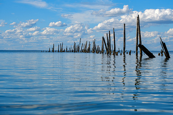 speckled trout action photography