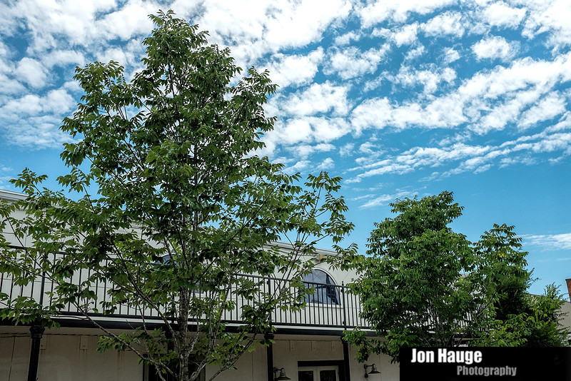 Fairhope Photographer