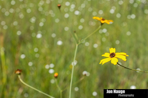 Baldwin County Photographer