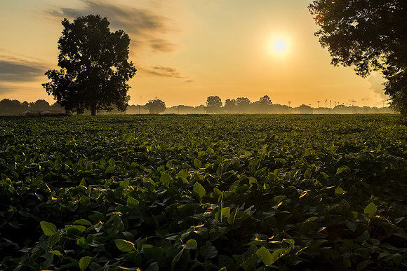 Baldwin County Photographer