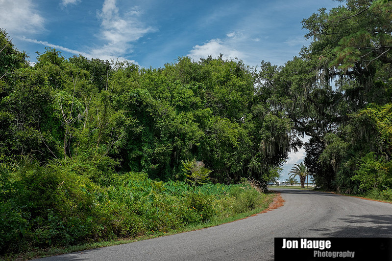 Dauphin Island Photography