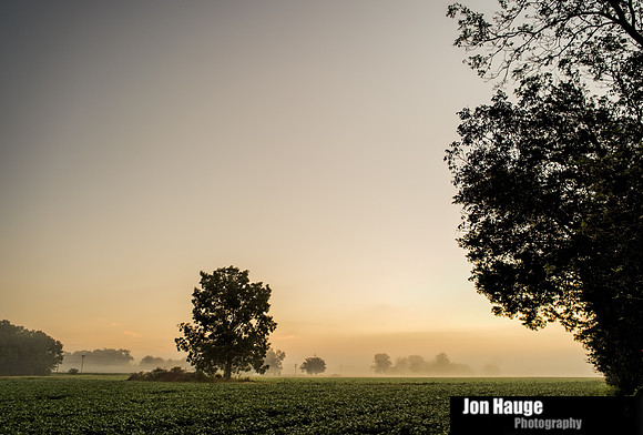 Baldwin County Photographer