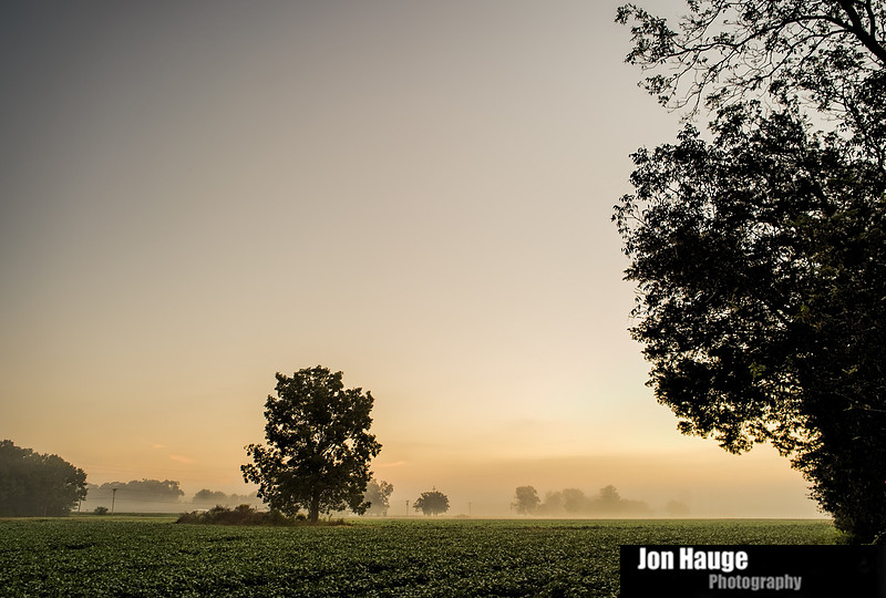 Baldwin County Photographer