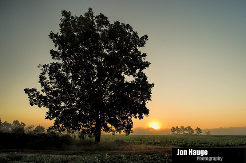 Baldwin County Photographer