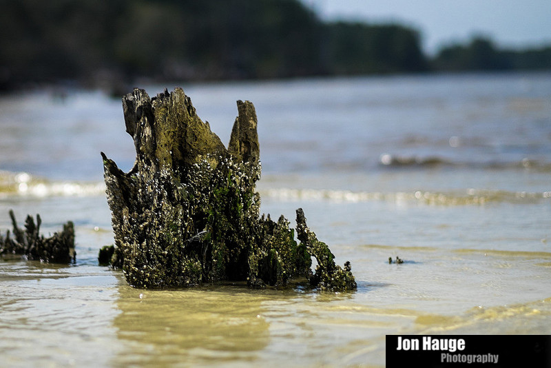 Alabama Beach Photographer