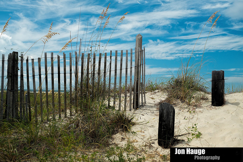 Dauphin Island Photographer