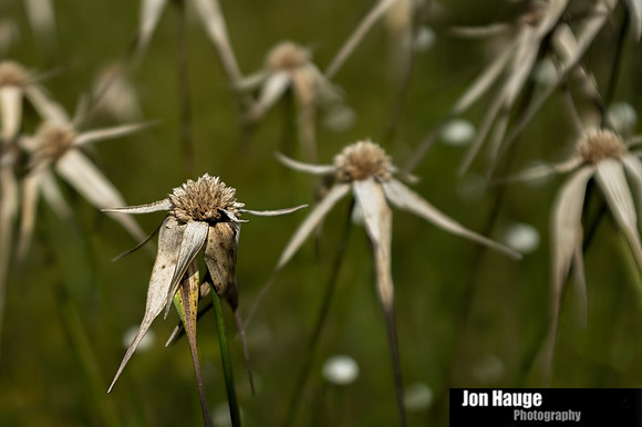 Baldwin County Photographer