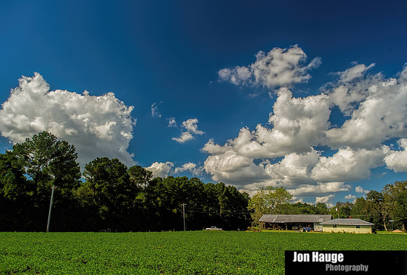 Baldwin County Photography
