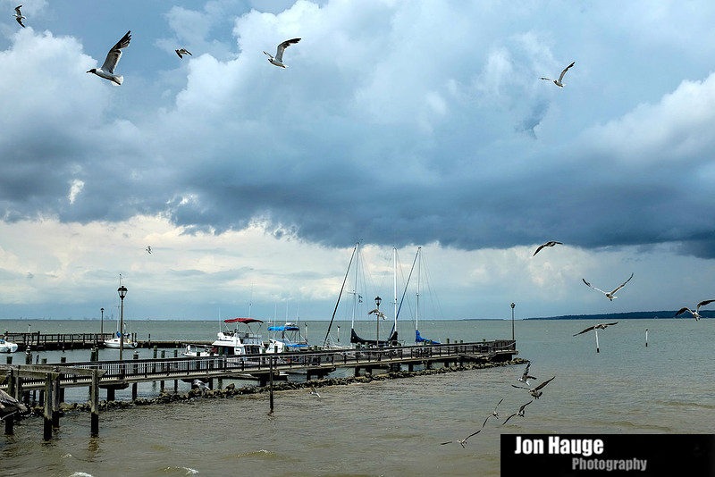 Fairhope Photography