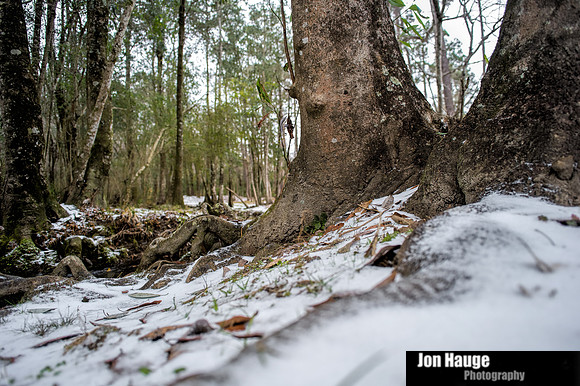 Winter Blast in Baldwin County