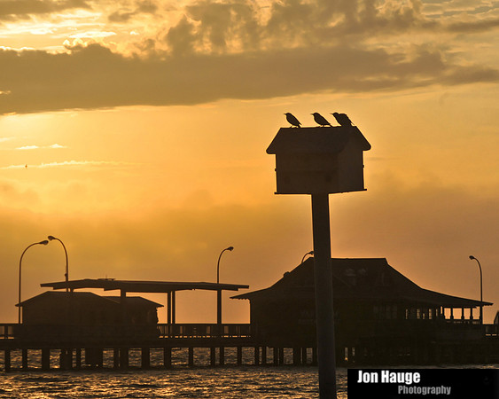 Fairhope Evening