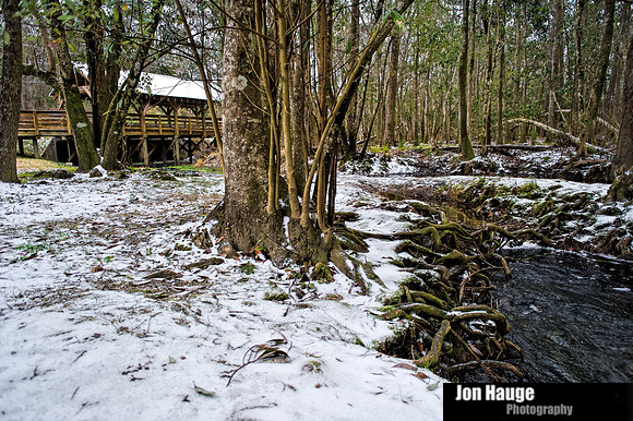 Winter Blast in Baldwin County