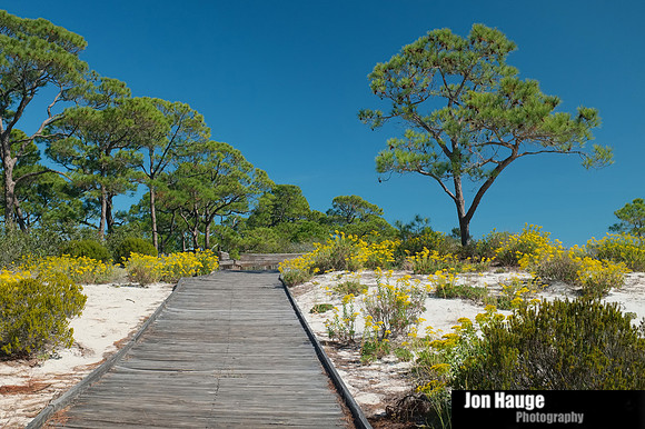 Audubon Bird Sanctuary