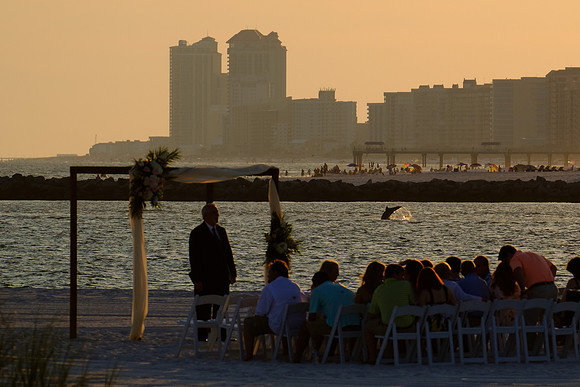 Orange Beach Photographer