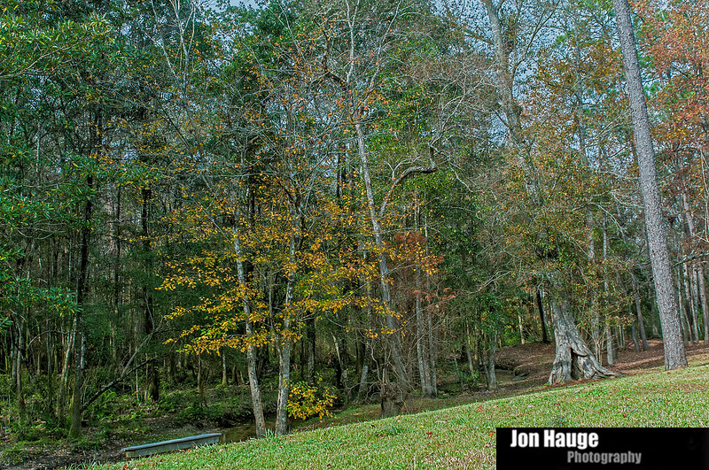 Oscar Johnson Park