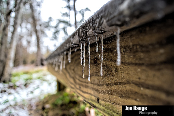 Winter Blast in Baldwin County