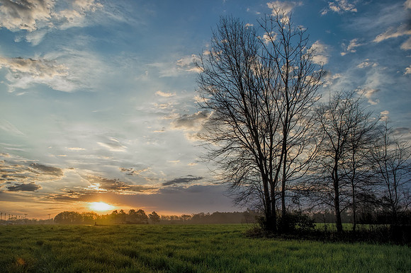 Robertsdale Sunsrise