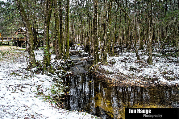 Winter Blast in Baldwin County