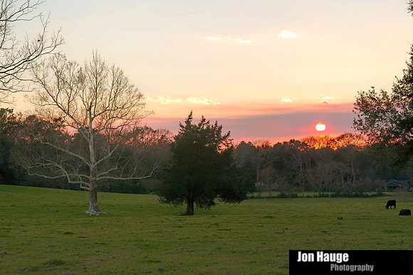 Sunset in Robertsdale