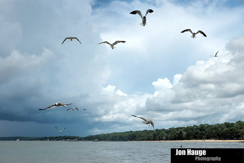 Fairhope Photography