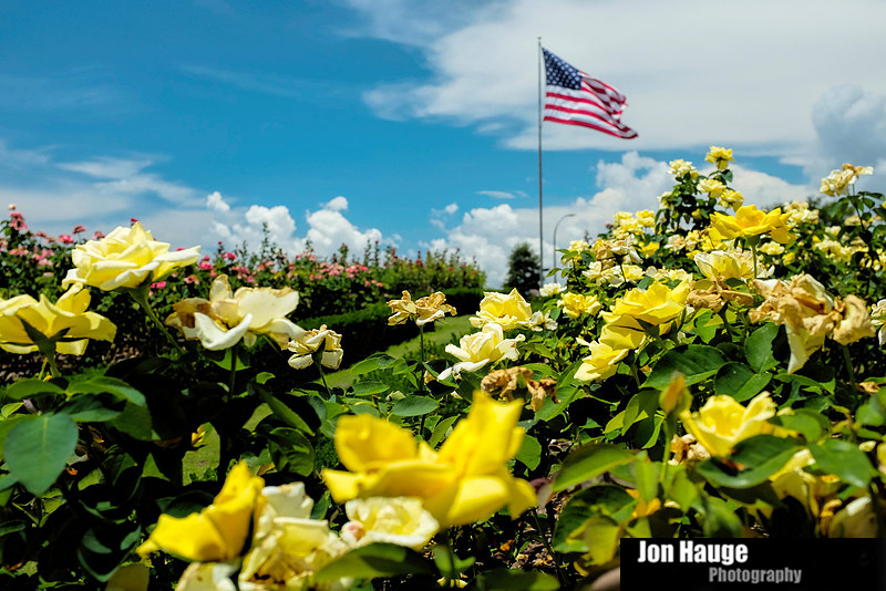 Fairhope Photography